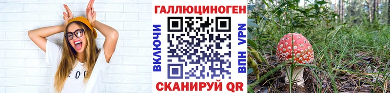 Купить где  Гдов  Псилоцибиновые грибы мицелий 